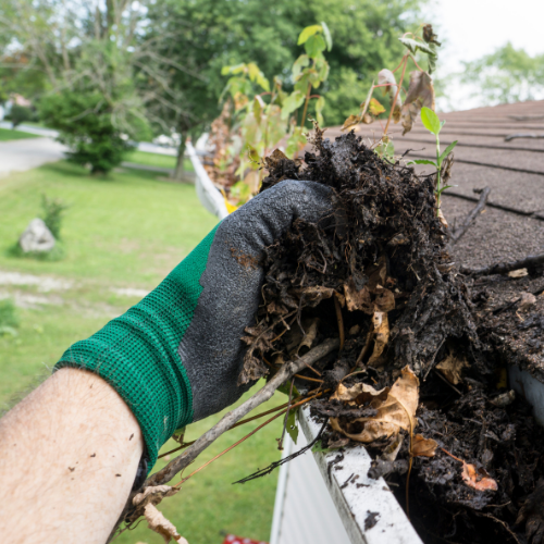 roof gutter cleaning.webp